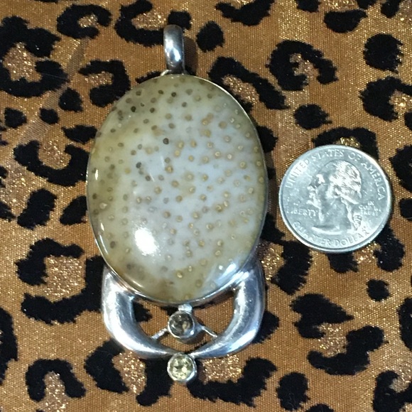 Silver & fossil pendant enhanced w/ cut stones - Picture 5 of 8